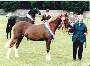 Margaret Gethin & Mynach Mimosa 001 Red