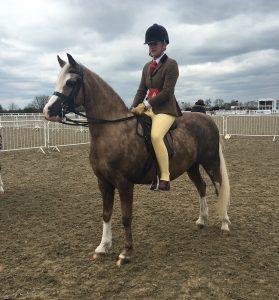 Penny Farthing Res Champ april 2016 1 red