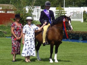 Waxwing Rheel HICKSTEAD DERBY MEETING 2010 R