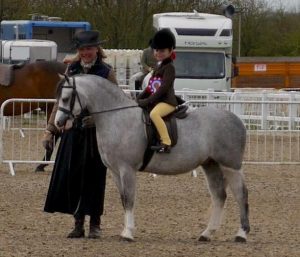 Waxwing Pastime Three Shires Show M&M Champ